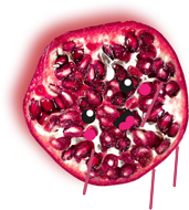Peasful Nutrition Elements